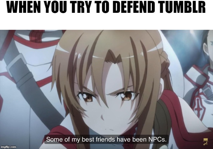WHEN YOU TRY TO DEFEND TUMBLR | image tagged in sword art online abridged,sao abridged,npc,tumblr | made w/ Imgflip meme maker