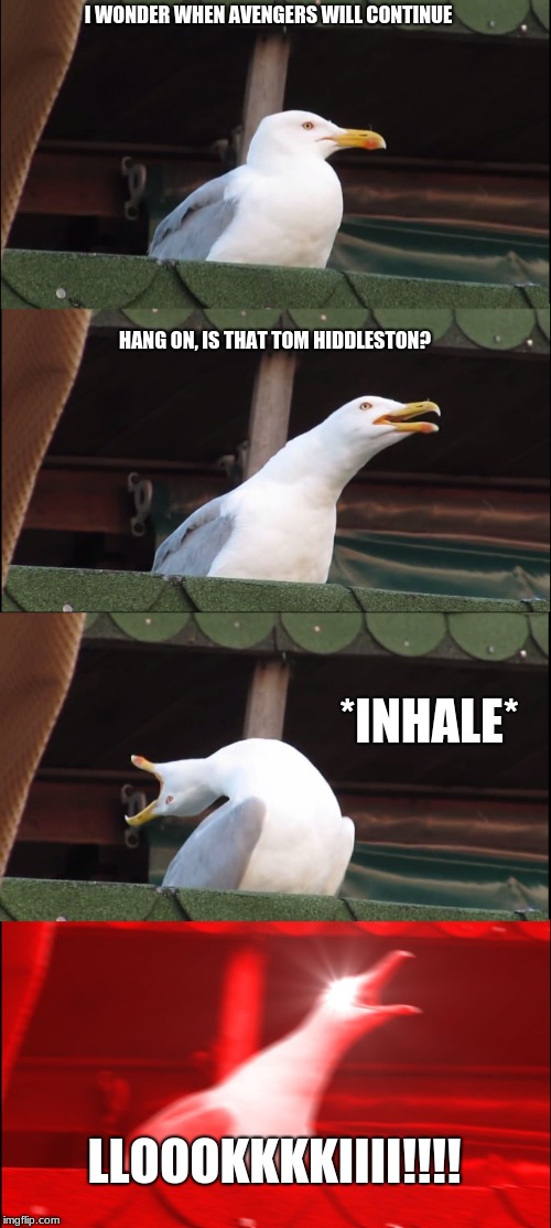 Inhaling Seagull | I WONDER WHEN AVENGERS WILL CONTINUE; HANG ON, IS THAT TOM HIDDLESTON? *INHALE*; LLOOOKKKKIIII!!!! | image tagged in memes,inhaling seagull | made w/ Imgflip meme maker