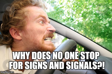 Bad Driver | WHY DOES NO ONE STOP FOR SIGNS AND SIGNALS?! | image tagged in bad driver | made w/ Imgflip meme maker