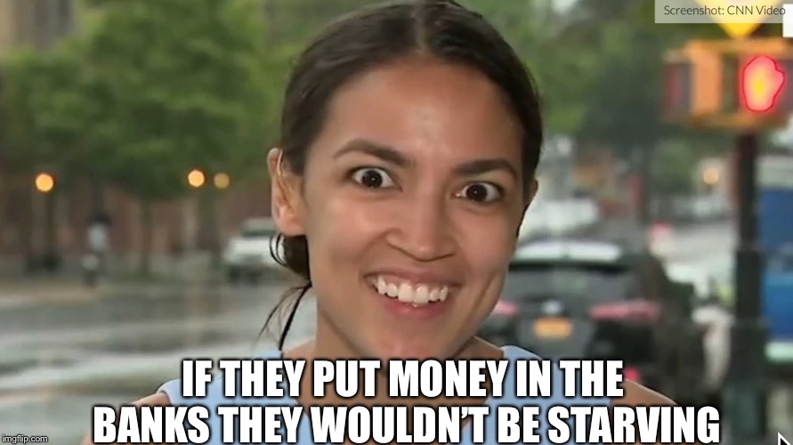 Alexandria Ocasio-Cortez | IF THEY PUT MONEY IN THE BANKS THEY WOULDN’T BE STARVING | image tagged in alexandria ocasio-cortez | made w/ Imgflip meme maker