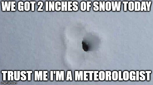 2 Inches | WE GOT 2 INCHES OF SNOW TODAY; TRUST ME I'M A METEOROLOGIST | image tagged in two,snow,weather,meteorologist,inch | made w/ Imgflip meme maker