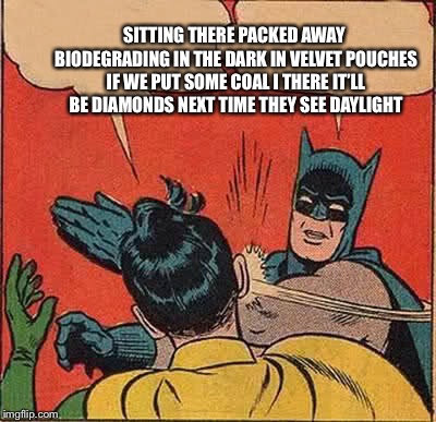 Batman Slapping Robin Meme | SITTING THERE PACKED AWAY BIODEGRADING IN THE DARK IN VELVET POUCHES IF WE PUT SOME COAL I THERE IT’LL BE DIAMONDS NEXT TIME THEY SEE DAYLIG | image tagged in memes,batman slapping robin | made w/ Imgflip meme maker