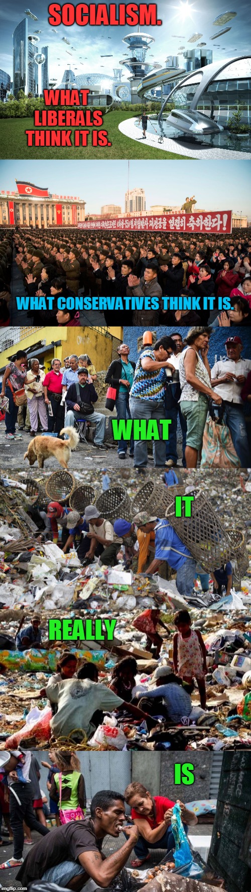 I like walking my dog, I don't want to eat him. | SOCIALISM. WHAT LIBERALS THINK IT IS. WHAT CONSERVATIVES THINK IT IS. WHAT; IT; REALLY; IS | image tagged in funny,socialism | made w/ Imgflip meme maker