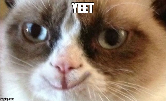 Grumpy Cat happy | YEET | image tagged in grumpy cat happy | made w/ Imgflip meme maker