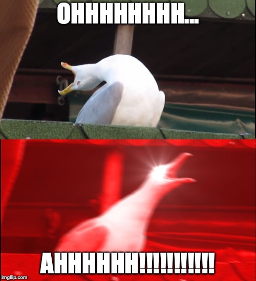 Screaming bird | OHHHHHHHH... AHHHHHH!!!!!!!!!!! | image tagged in screaming bird | made w/ Imgflip meme maker