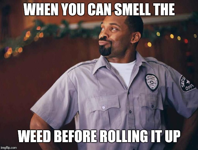 Mike Epps | WHEN YOU CAN SMELL THE; WEED BEFORE ROLLING IT UP | image tagged in mike epps | made w/ Imgflip meme maker