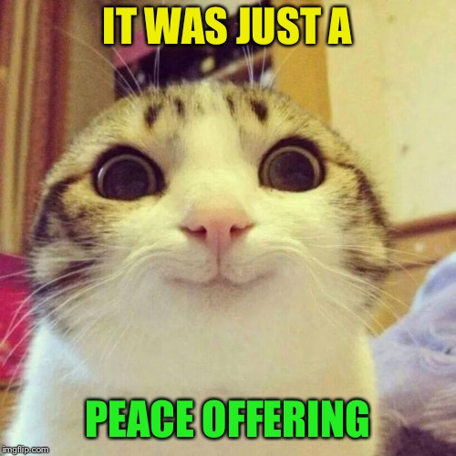 Smiling Cat Meme | IT WAS JUST A PEACE OFFERING | image tagged in memes,smiling cat | made w/ Imgflip meme maker