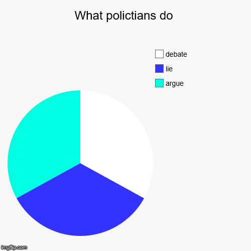 What polictians do | argue, lie , debate | image tagged in funny,pie charts | made w/ Imgflip chart maker