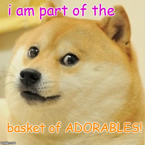 Doge Meme | i am part of the; basket of ADORABLES! | image tagged in memes,doge | made w/ Imgflip meme maker