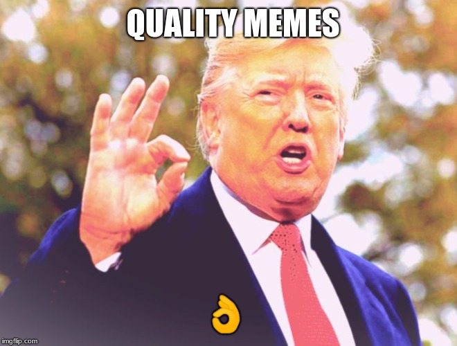 QUALITY MEMES; 👌 | image tagged in memes,donald trump approves,meme | made w/ Imgflip meme maker