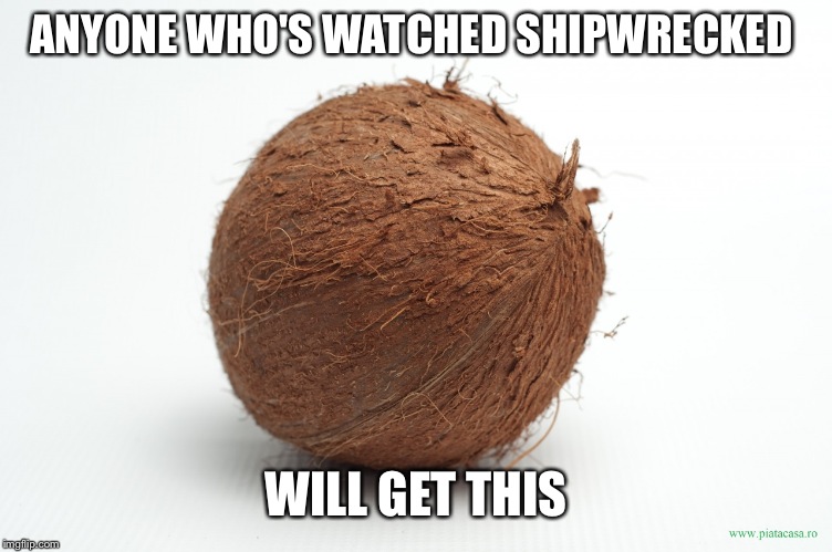 coconut | ANYONE WHO'S WATCHED SHIPWRECKED; WILL GET THIS | image tagged in coconut | made w/ Imgflip meme maker