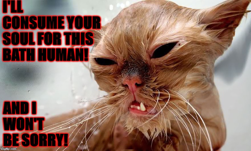 I'LL CONSUME YOUR SOUL FOR THIS BATH HUMAN! AND I WON'T BE SORRY! | image tagged in i'll consume you | made w/ Imgflip meme maker