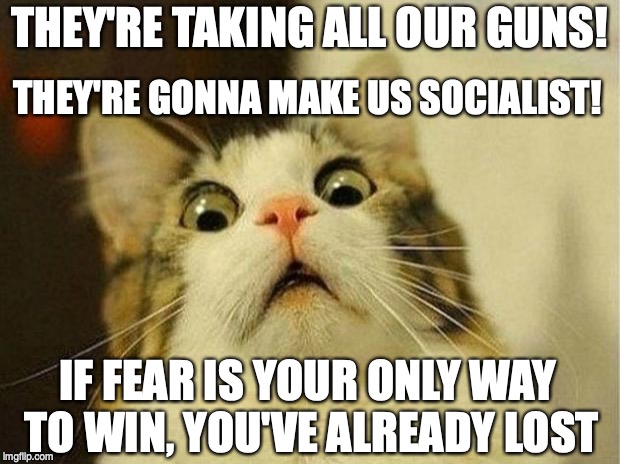 Scared Cat | THEY'RE GONNA MAKE US SOCIALIST! THEY'RE TAKING ALL OUR GUNS! IF FEAR IS YOUR ONLY WAY TO WIN, YOU'VE ALREADY LOST | image tagged in memes,scared cat | made w/ Imgflip meme maker