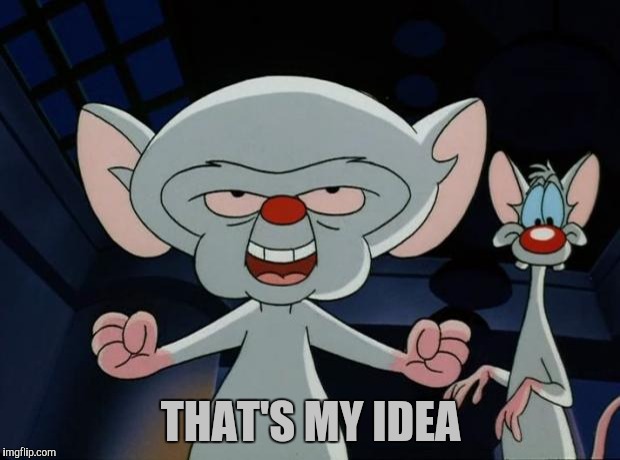 Pinky and the Brain | THAT'S MY IDEA | image tagged in pinky and the brain | made w/ Imgflip meme maker