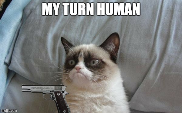 Grumpy cat gun | MY TURN HUMAN | image tagged in grumpy cat gun | made w/ Imgflip meme maker