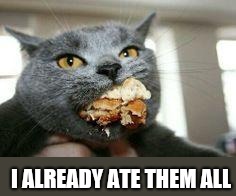 Cat-eating | I ALREADY ATE THEM ALL | image tagged in cat-eating | made w/ Imgflip meme maker