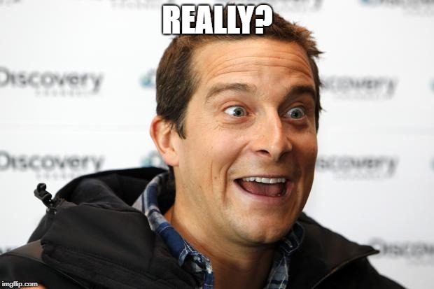 Bear Grylls Approved Food | REALLY? | image tagged in bear grylls approved food | made w/ Imgflip meme maker