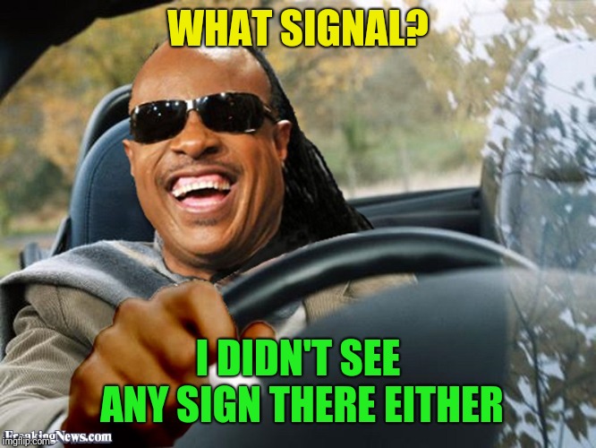 Stevie Wonder Driving | WHAT SIGNAL? I DIDN'T SEE ANY SIGN THERE EITHER | image tagged in stevie wonder driving | made w/ Imgflip meme maker