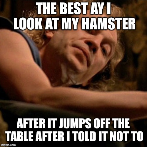 Buffalo Bill | THE BEST AY I LOOK AT MY HAMSTER; AFTER IT JUMPS OFF THE TABLE AFTER I TOLD IT NOT TO | image tagged in buffalo bill | made w/ Imgflip meme maker