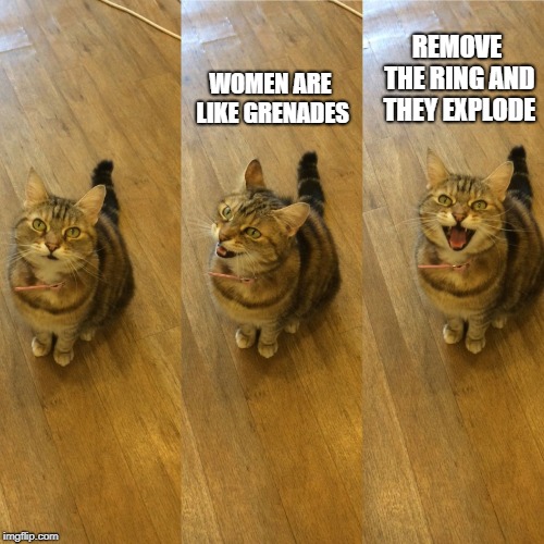 a joke i saw earlier | REMOVE THE RING AND THEY EXPLODE; WOMEN ARE LIKE GRENADES | image tagged in bad pun cat | made w/ Imgflip meme maker
