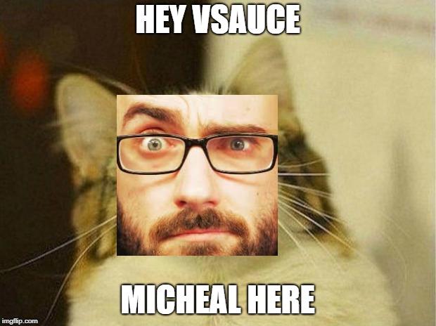Scared Cat | HEY VSAUCE; MICHEAL HERE | image tagged in memes,scared cat | made w/ Imgflip meme maker