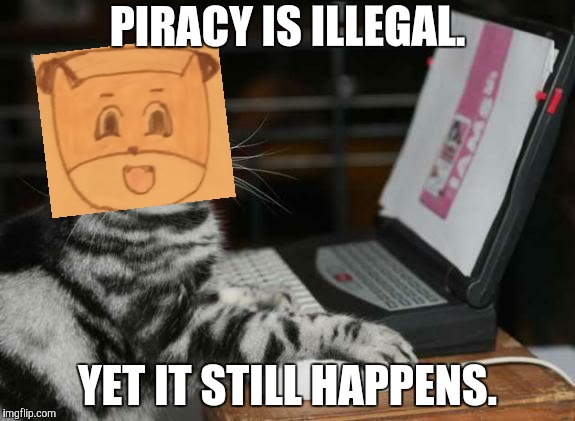 Cat Using Computer | PIRACY IS ILLEGAL. YET IT STILL HAPPENS. | image tagged in cat using computer | made w/ Imgflip meme maker