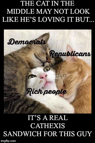 Let us “Love” on You | THE CAT IN THE MIDDLE MAY NOT LOOK LIKE HE’S LOVING IT BUT... IT’S A REAL CATHEXIS SANDWICH FOR THIS GUY | image tagged in cat,republican,democrat,sandwich,love,cathexis | made w/ Imgflip meme maker