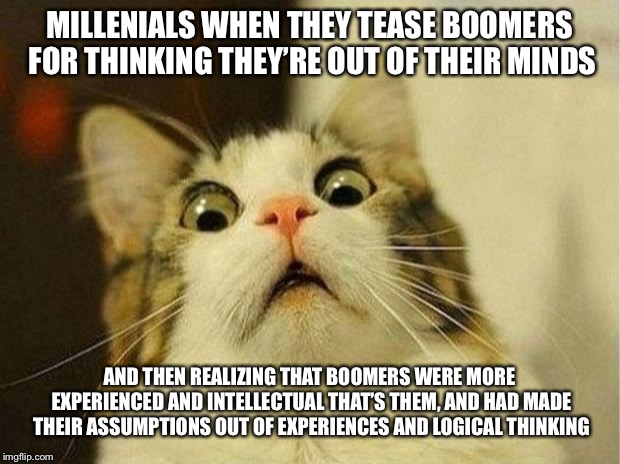 Baby boomer nation #2 | MILLENIALS WHEN THEY TEASE BOOMERS FOR THINKING THEY’RE OUT OF THEIR MINDS; AND THEN REALIZING THAT BOOMERS WERE MORE EXPERIENCED AND INTELLECTUAL THAT’S THEM, AND HAD MADE THEIR ASSUMPTIONS OUT OF EXPERIENCES AND LOGICAL THINKING | image tagged in memes,scared cat,baby boomer nation | made w/ Imgflip meme maker