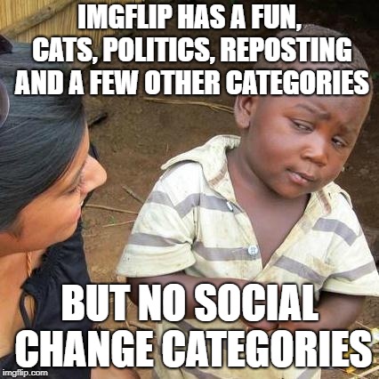 Third World Skeptical Kid Meme | IMGFLIP HAS A FUN, CATS, POLITICS, REPOSTING AND A FEW OTHER CATEGORIES; BUT NO SOCIAL CHANGE CATEGORIES | image tagged in memes,third world skeptical kid | made w/ Imgflip meme maker