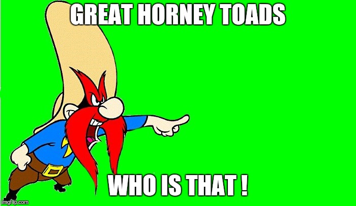 yosemite sam  | GREAT HORNEY TOADS WHO IS THAT ! | image tagged in yosemite sam | made w/ Imgflip meme maker