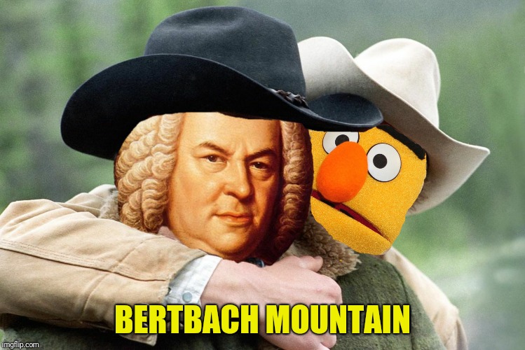 BERTBACH MOUNTAIN | made w/ Imgflip meme maker