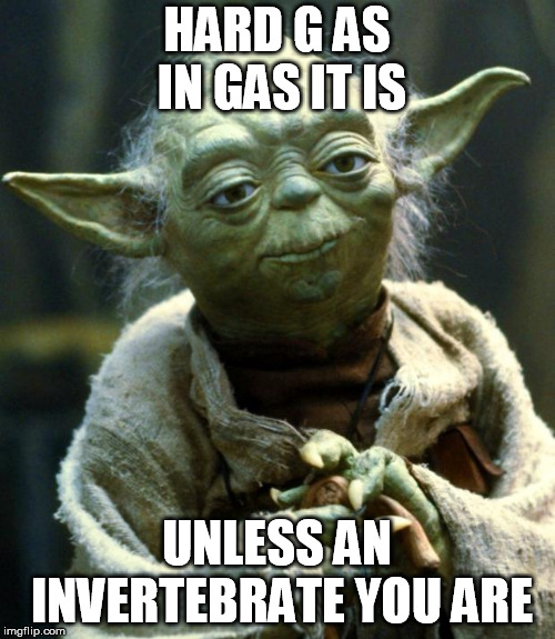 Star Wars Yoda Meme | HARD G AS IN GAS IT IS UNLESS AN INVERTEBRATE YOU ARE | image tagged in memes,star wars yoda | made w/ Imgflip meme maker