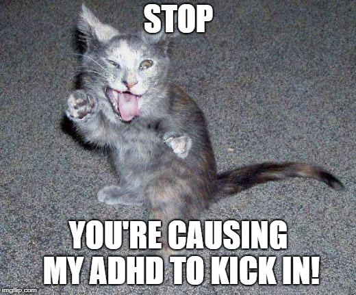 ADHD Cat | STOP YOU'RE CAUSING MY ADHD TO KICK IN! | image tagged in adhd cat | made w/ Imgflip meme maker