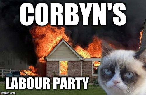 Corbyn Labour Party fail | CORBYN'S; LABOUR PARTY | image tagged in grumpy cat,gtto jc4pm,labourisdead,cultofcorbyn,wearecorbyn,funny | made w/ Imgflip meme maker