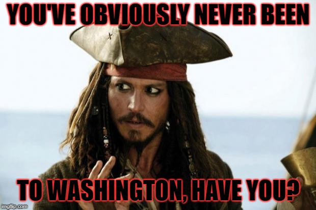Jack Sparrow Pirate | YOU'VE OBVIOUSLY NEVER BEEN TO WASHINGTON, HAVE YOU? | image tagged in jack sparrow pirate | made w/ Imgflip meme maker
