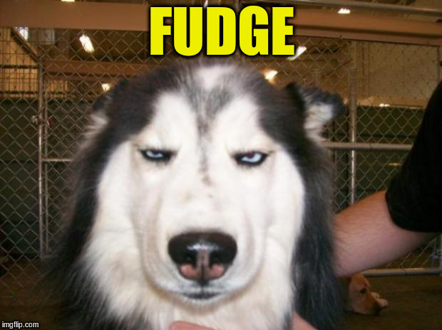 Annoyed Dog | FUDGE | image tagged in annoyed dog | made w/ Imgflip meme maker