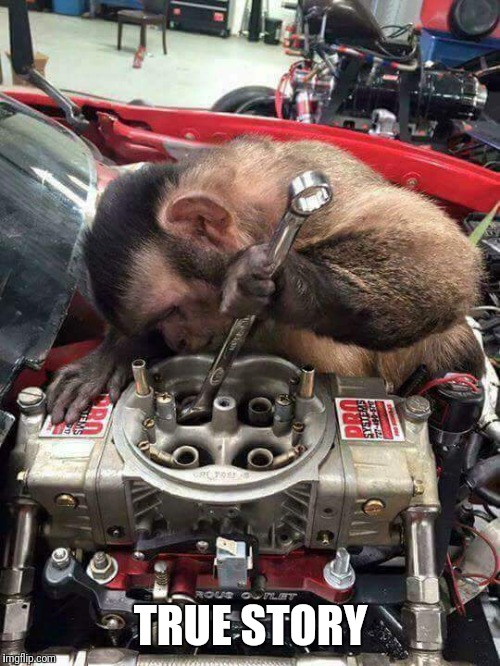 Monkey mechanic | TRUE STORY | image tagged in monkey mechanic | made w/ Imgflip meme maker