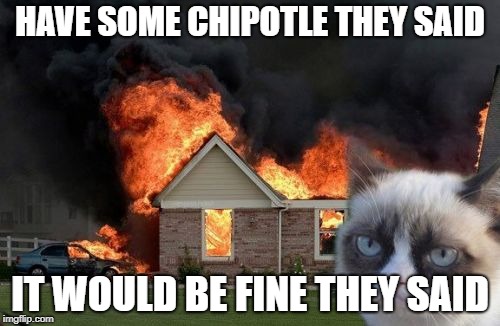 the bathroom went down first | HAVE SOME CHIPOTLE THEY SAID; IT WOULD BE FINE THEY SAID | image tagged in memes,burn kitty,grumpy cat | made w/ Imgflip meme maker