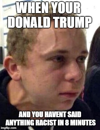 political vein guy  | WHEN YOUR DONALD TRUMP; AND YOU HAVENT SAID ANYTHING RACIST IN 8 MINUTES | image tagged in neck vein guy | made w/ Imgflip meme maker