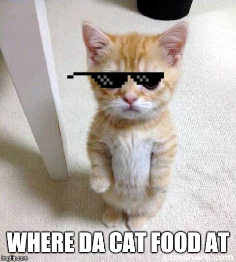 Cute Cat Meme | WHERE DA CAT FOOD AT | image tagged in memes,cute cat | made w/ Imgflip meme maker