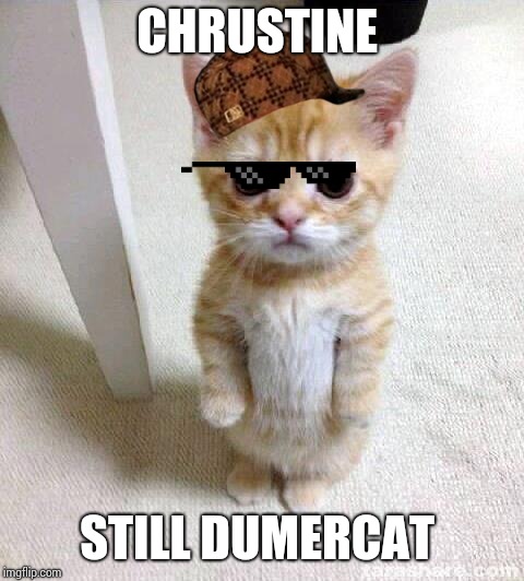 Cute Cat | CHRUSTINE; STILL DUMERCAT | image tagged in memes,cute cat | made w/ Imgflip meme maker