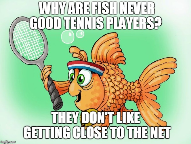 fish play tennis | WHY ARE FISH NEVER GOOD TENNIS PLAYERS? THEY DON'T LIKE GETTING CLOSE TO THE NET | image tagged in sports | made w/ Imgflip meme maker