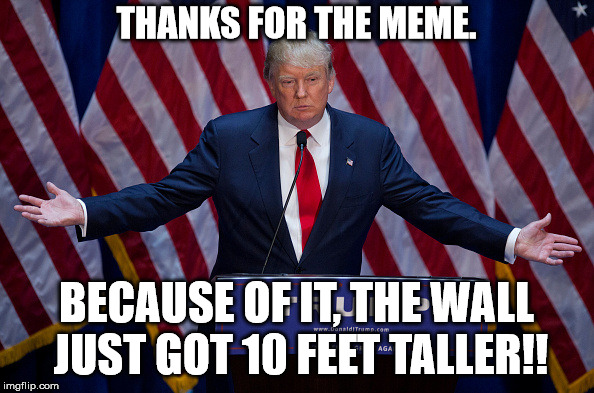Donald Trump | THANKS FOR THE MEME. BECAUSE OF IT, THE WALL JUST GOT 10 FEET TALLER!! | image tagged in donald trump | made w/ Imgflip meme maker