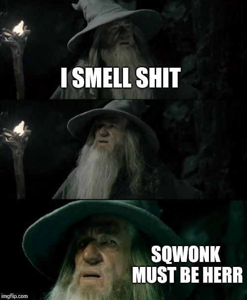 Confused Gandalf | I SMELL SHIT; SQWONK MUST BE HERR | image tagged in memes,confused gandalf | made w/ Imgflip meme maker