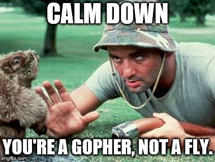 Bill Murray Caddyshack | CALM DOWN YOU'RE A GOPHER, NOT A FLY. | image tagged in bill murray caddyshack | made w/ Imgflip meme maker