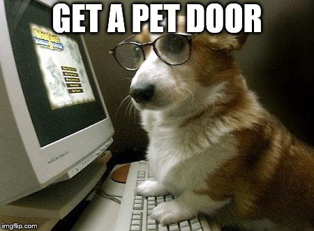 Smart Dog | GET A PET DOOR | image tagged in smart dog | made w/ Imgflip meme maker