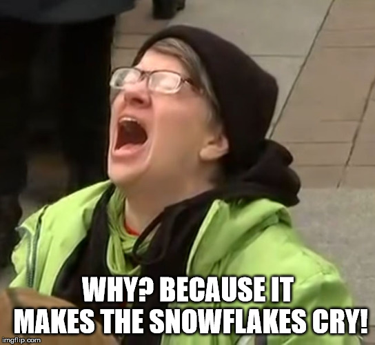 snowflake | WHY? BECAUSE IT MAKES THE SNOWFLAKES CRY! | image tagged in snowflake | made w/ Imgflip meme maker