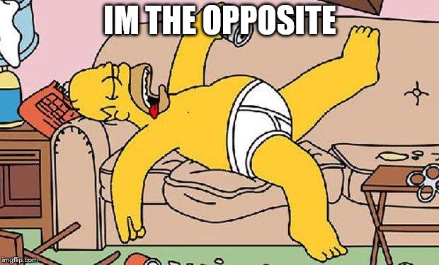 Homer-lazy | IM THE OPPOSITE | image tagged in homer-lazy | made w/ Imgflip meme maker