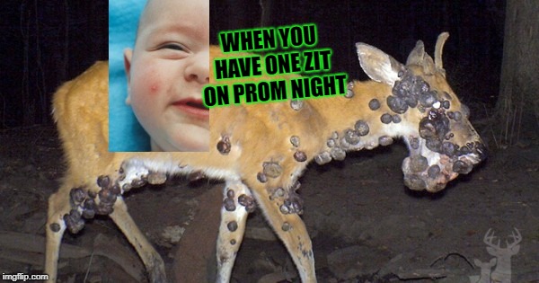 Supper's On, Boys! | WHEN YOU HAVE ONE ZIT ON PROM NIGHT | image tagged in supper's on boys | made w/ Imgflip meme maker