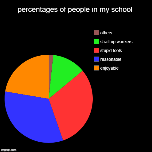 percentages of people in my school | enjoyable , reasonable , stupid fools, strait up wankers, others | image tagged in funny,pie charts | made w/ Imgflip chart maker